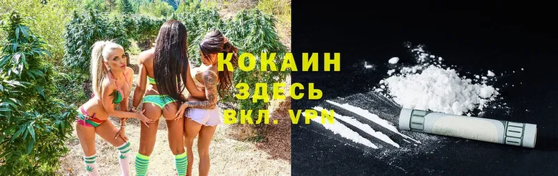 Cocaine 99%  кракен tor  Верхняя Тура  где продают  