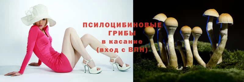 как найти закладки  Верхняя Тура  Галлюциногенные грибы MAGIC MUSHROOMS 